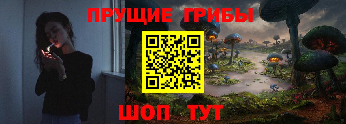 Артём  Псилоцибиновые грибы мухоморы  Псилоцибиновые грибы Cubensis  Вход с VPN 